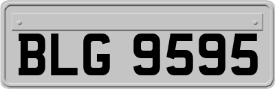 BLG9595