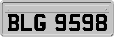 BLG9598