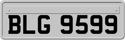 BLG9599