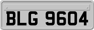 BLG9604