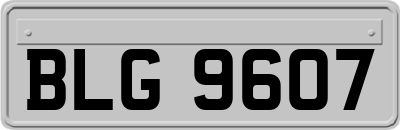 BLG9607