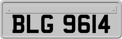 BLG9614