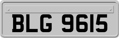 BLG9615