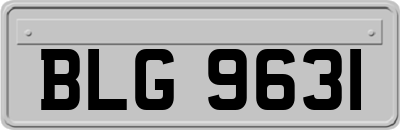 BLG9631