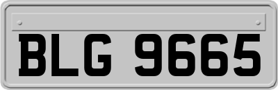 BLG9665