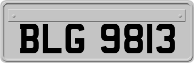 BLG9813
