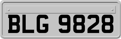 BLG9828