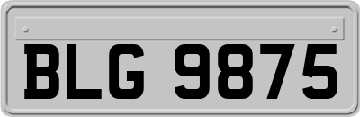 BLG9875