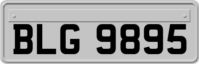 BLG9895
