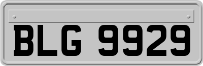 BLG9929