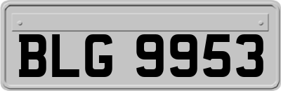 BLG9953