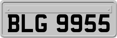 BLG9955