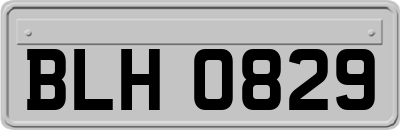 BLH0829
