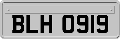 BLH0919