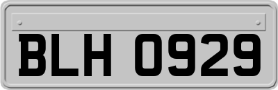 BLH0929