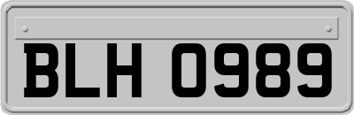 BLH0989