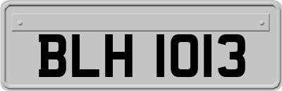 BLH1013