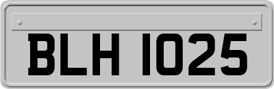 BLH1025