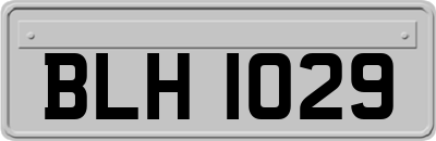 BLH1029