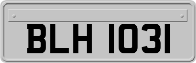 BLH1031