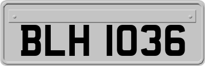 BLH1036