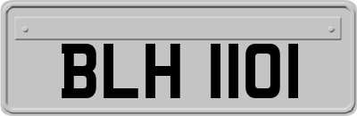 BLH1101
