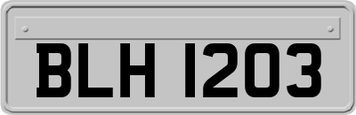 BLH1203