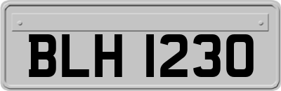 BLH1230