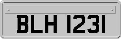 BLH1231
