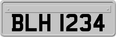 BLH1234