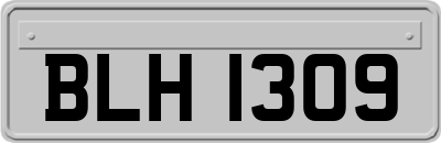 BLH1309