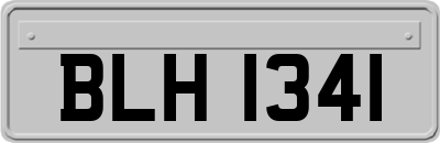 BLH1341