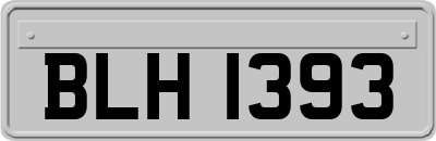 BLH1393