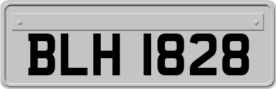 BLH1828