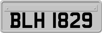 BLH1829