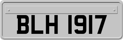 BLH1917