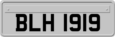 BLH1919