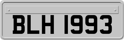 BLH1993