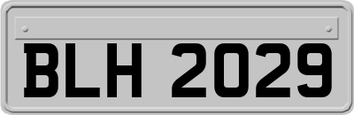 BLH2029