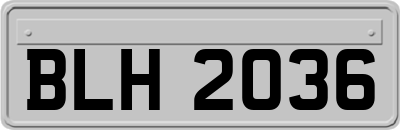 BLH2036