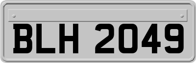 BLH2049