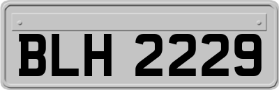 BLH2229