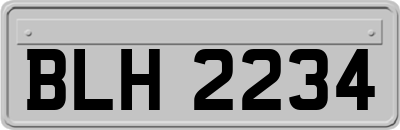 BLH2234