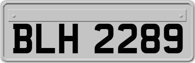 BLH2289