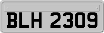 BLH2309