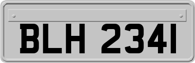 BLH2341