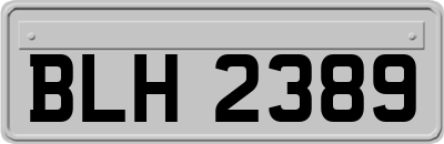 BLH2389