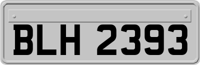 BLH2393