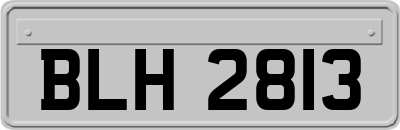 BLH2813