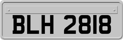 BLH2818